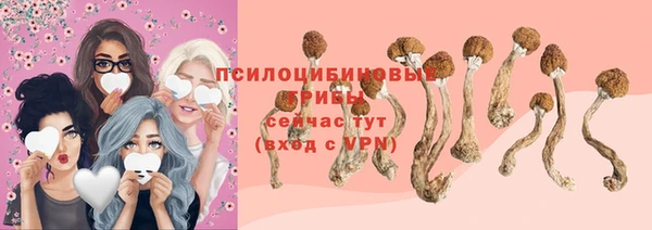 гидра Алексин